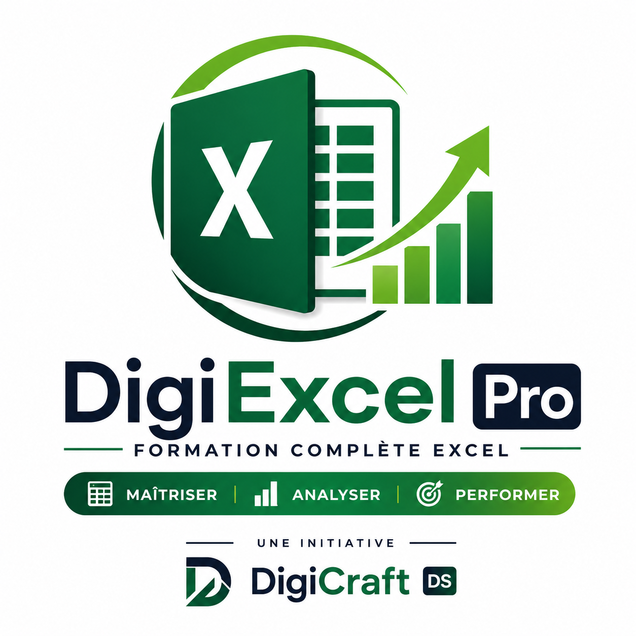 Logo DigiExcel Pro